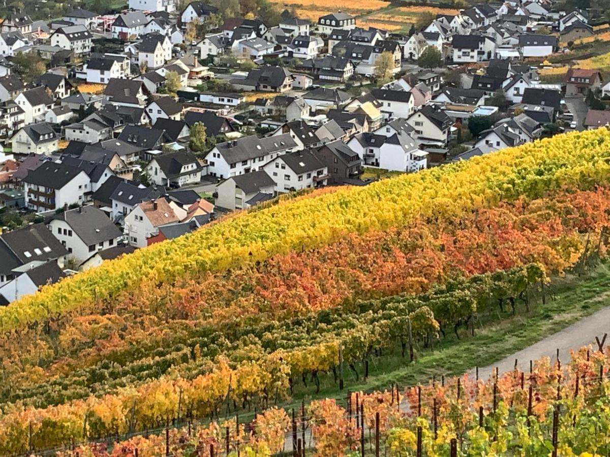 Rheinvilla Arte Remagen Exteriér fotografie