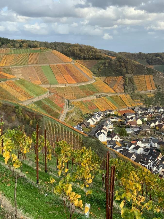 Rheinvilla Arte Remagen Exteriér fotografie