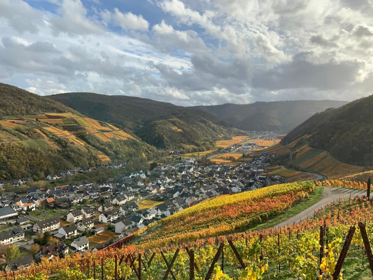 Rheinvilla Arte Remagen Exteriér fotografie