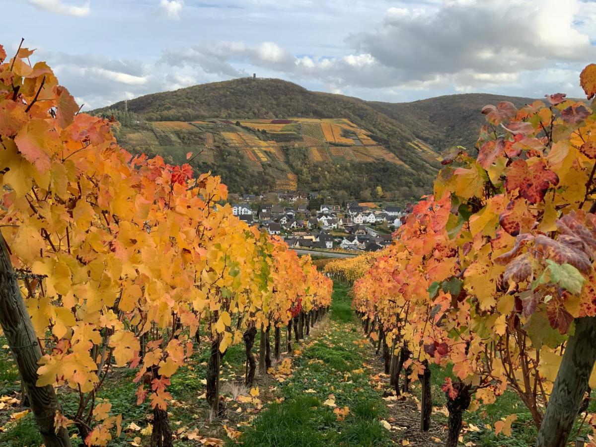 Rheinvilla Arte Remagen Exteriér fotografie